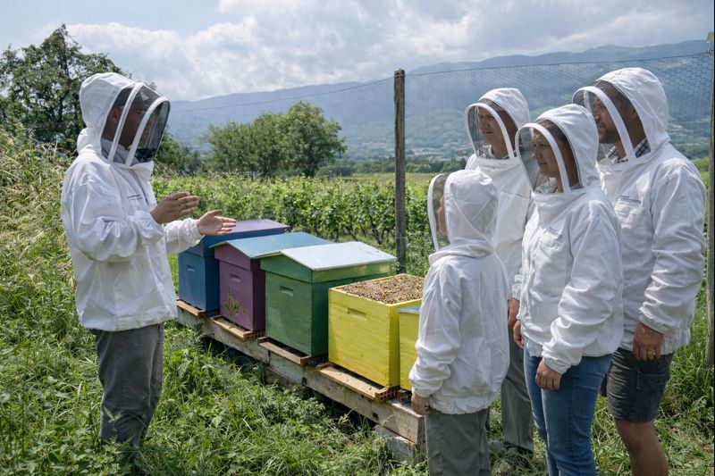 visite du rucher de choully